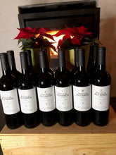 Indlæs billede til gallerivisning Marques De Alfamen - Rødvin - 2024// 12/24 stk
