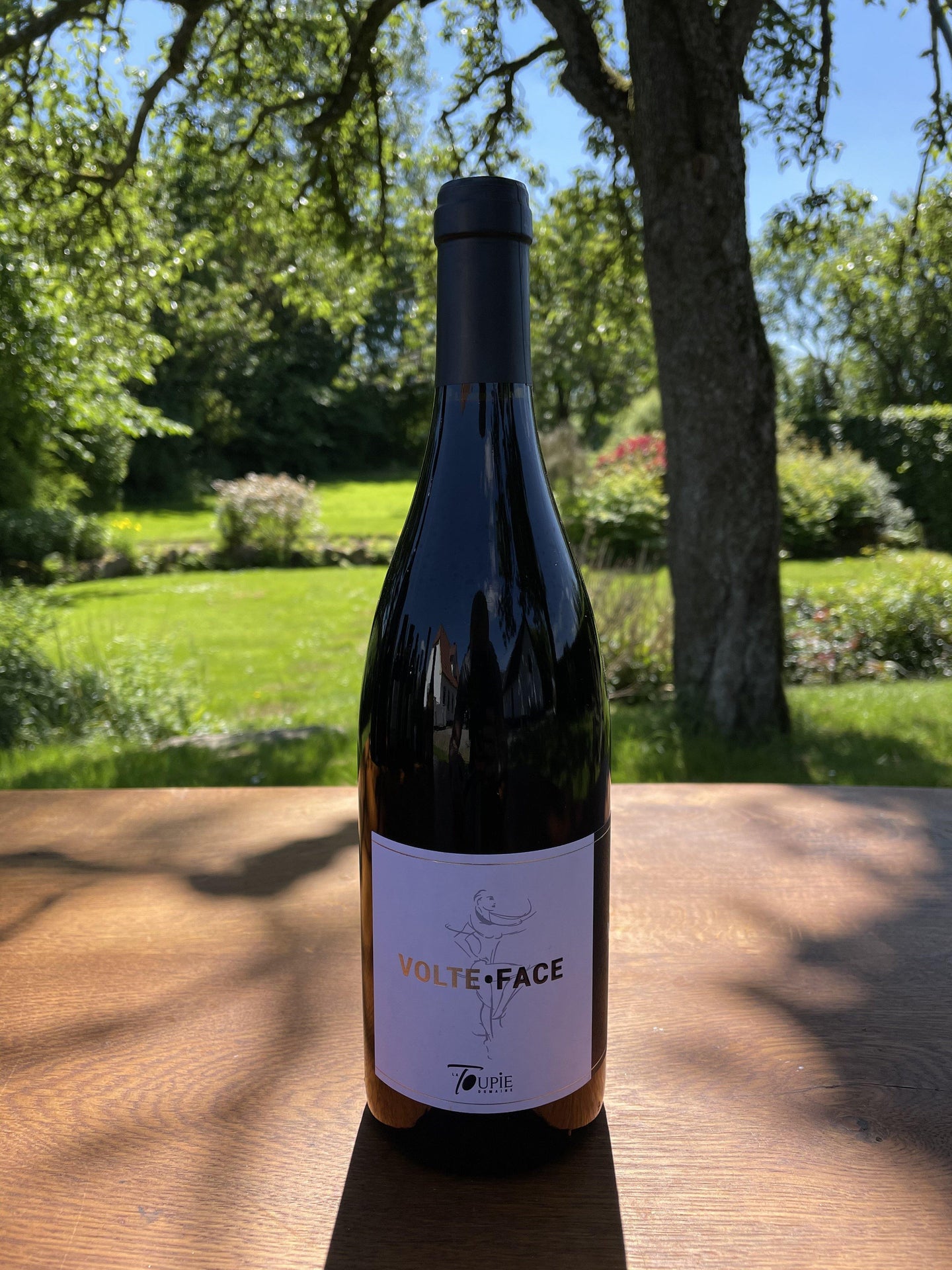 Volte-Face - vinettig