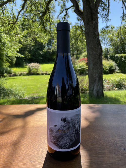 Mono Negro - vinettig