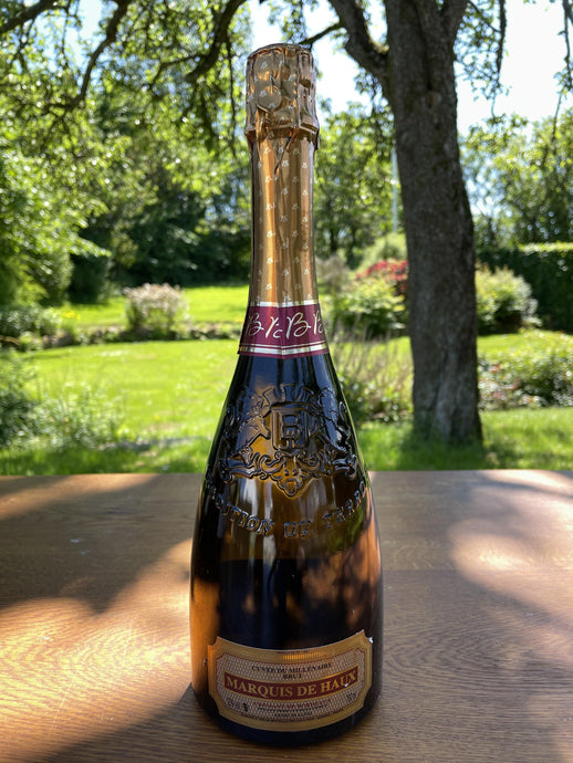 Marquis de Haux Cremant - vinettig